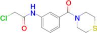 2-Chloro-n-[3-(thiomorpholine-4-carbonyl)phenyl]acetamide