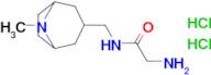 2-Amino-n-({8-methyl-8-azabicyclo[3.2.1]octan-3-yl}methyl)acetamide dihydrochloride