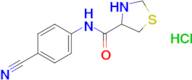 n-(4-Cyanophenyl)-1,3-thiazolidine-4-carboxamide hydrochloride