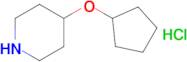 4-(Cyclopentyloxy)piperidine hydrochloride