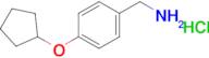 [4-(cyclopentyloxy)phenyl]methanamine hydrochloride