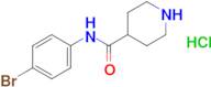 n-(4-Bromophenyl)piperidine-4-carboxamide hydrochloride