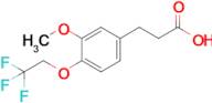 3-[3-methoxy-4-(2,2,2-trifluoroethoxy)phenyl]propanoic acid