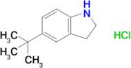 5-Tert-butyl-2,3-dihydro-1h-indole hydrochloride