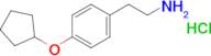 2-[4-(cyclopentyloxy)phenyl]Ethylamine hydrochloride