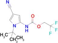 2,2,2-Trifluoroethyl n-(1-tert-butyl-4-cyano-1h-pyrrol-2-yl)carbamate