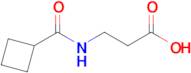 3-(Cyclobutylformamido)propanoic acid