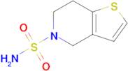 4h,5h,6h,7h-Thieno[3,2-c]pyridine-5-sulfonamide