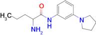 2-Amino-n-[3-(pyrrolidin-1-yl)phenyl]pentanamide