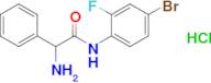 2-Amino-n-(4-bromo-2-fluorophenyl)-2-phenylacetamide hydrochloride