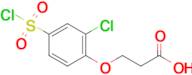 3-[2-chloro-4-(chlorosulfonyl)phenoxy]propanoic acid