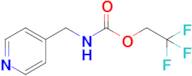 2,2,2-Trifluoroethyl n-(pyridin-4-ylmethyl)carbamate