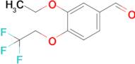 3-Ethoxy-4-(2,2,2-trifluoroethoxy)benzaldehyde