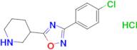 3-[3-(4-chlorophenyl)-1,2,4-oxadiazol-5-yl]piperidine hydrochloride