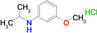 3-Methoxy-n-(propan-2-yl)aniline hydrochloride