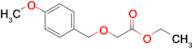 Ethyl 2-[(4-methoxyphenyl)methoxy]acetate