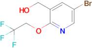 [5-bromo-2-(2,2,2-trifluoroethoxy)pyridin-3-yl]methanol