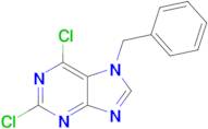 7-benZyl-2,6-dichloro-7h-purine