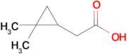 2-(2,2-Dimethylcyclopropyl)acetic acid