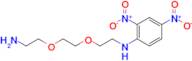 N-(2-(2-(2-Aminoethoxy)ethoxy)ethyl)-2,4-dinitroaniline