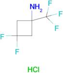 3,3-Difluoro-1-(trifluoromethyl)cyclobutan-1-amine hydrochloride