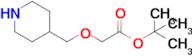 tert-Butyl 2-(piperidin-4-ylmethoxy)acetate