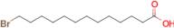 13-Bromotridecanoic acid