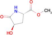 Methyl (2S,4R)-4-hydroxy-5-oxopyrrolidine-2-carboxylate