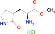 Methyl (S)-2-amino-3-((S)-2-oxopyrrolidin-3-yl)propanoate hydrochloride