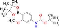 tert-Butyl (3-methoxy-4-(4,4,5,5-tetramethyl-1,3,2-dioxaborolan-2-yl)phenyl)carbamate