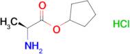 (S)-Cyclopentyl 2-aminopropanoate hydrochloride