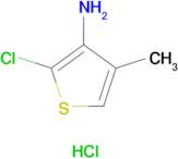 2-Chloro-4-methylthiophen-3-amine hydrochloride