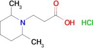 3-(2,6-Dimethylpiperidin-1-yl)propanoic acid hydrochloride