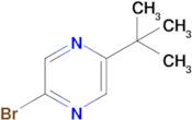 2-Bromo-5-(tert-butyl)pyrazine