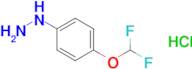 [4-(difluoromethoxy)phenyl]hydrazine hydrochloride