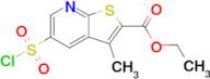 Ethyl 5-(chlorosulfonyl)-3-methylthieno[2,3-b]pyridine-2-carboxylate