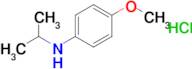 4-Methoxy-N-(propan-2-yl)aniline hydrochloride