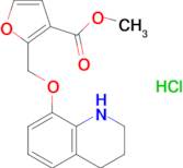 Methyl 2-[(1,2,3,4-tetrahydroquinolin-8-yloxy)methyl]furan-3-carboxylate hydrochloride