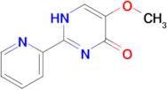 5-methoxy-2-(pyridin-2-yl)-1,4-dihydropyrimidin-4-one