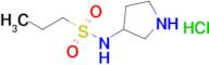 n-(Pyrrolidin-3-yl)propane-1-sulfonamide hydrochloride