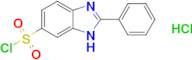 2-phenyl-1H-1,3-benzodiazole-6-sulfonyl chloride hydrochloride