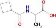 2-(Cyclobutylformamido)propanoic acid