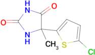 5-(5-Chlorothiophen-2-yl)-5-methylimidazolidine-2,4-dione