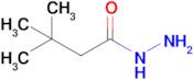 3,3-Dimethylbutanehydrazide