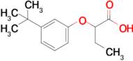 2-(3-Tert-butylphenoxy)butanoic acid