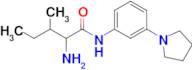 2-Amino-3-methyl-N-[3-(pyrrolidin-1-yl)phenyl]pentanamide