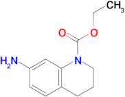 Ethyl 7-amino-1,2,3,4-tetrahydroquinoline-1-carboxylate