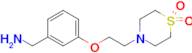 4-{2-[3-(aminomethyl)phenoxy]ethyl}-1lambda6-thiomorpholine-1,1-dione