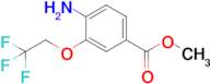 Methyl 4-amino-3-(2,2,2-trifluoroethoxy)benzoate