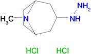 3-Hydrazinyl-8-methyl-8-azabicyclo[3.2.1]octane dihydrochloride